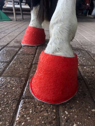 Hufpantoffel - Paar